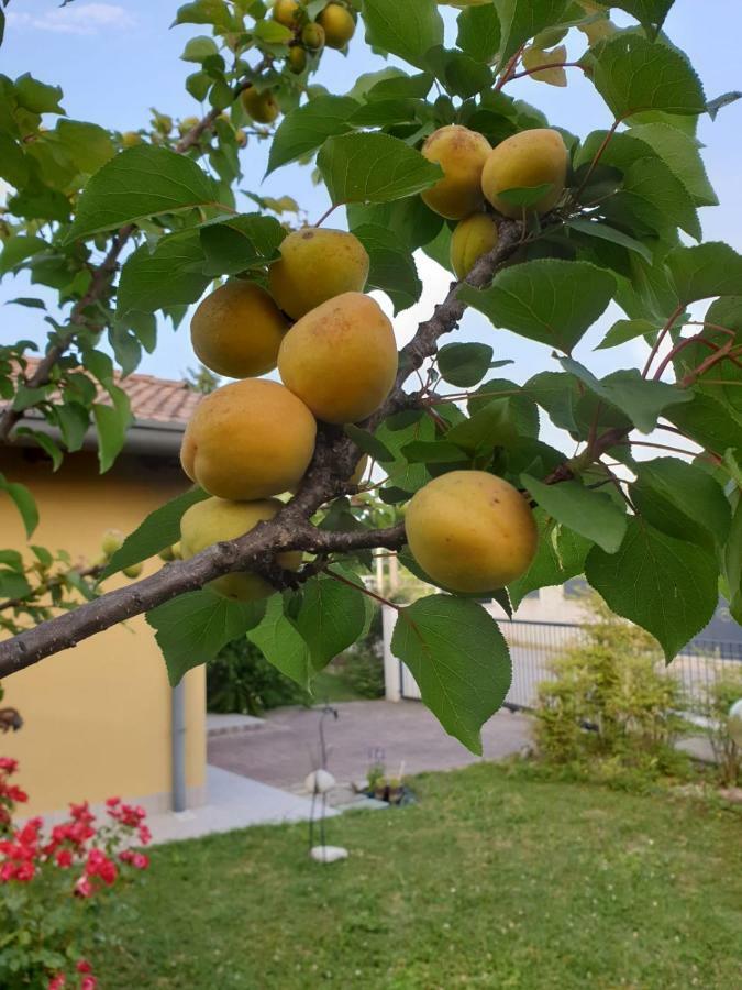 Residence Stradella Verde Staranzano Εξωτερικό φωτογραφία